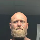 Adam Bull