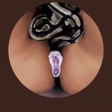 Bigboy85