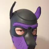 feetwetpup