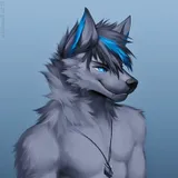 Husky Hubby