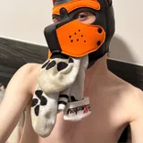 Pup Maestro