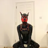 Pup Tilmo