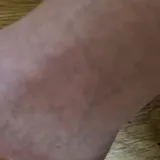 Ss