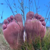 Step Into Wild