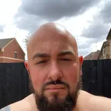 The Bear